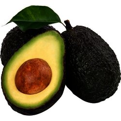 AGUACATE