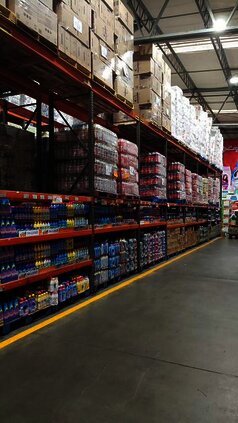 san martin de porres