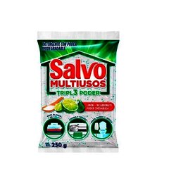 DETERGENTE SALVO MULTIUSOS 250 GR
