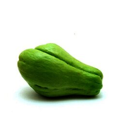 CHAYOTE