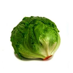 LECHUGA