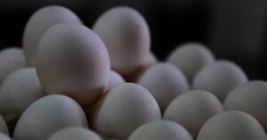 HUEVO ORESPI A GRANEL 1 KG