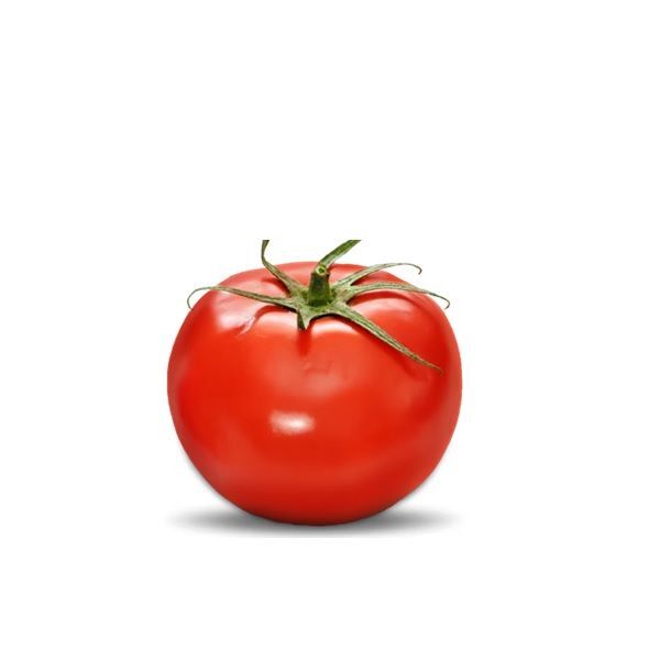TOMATE
