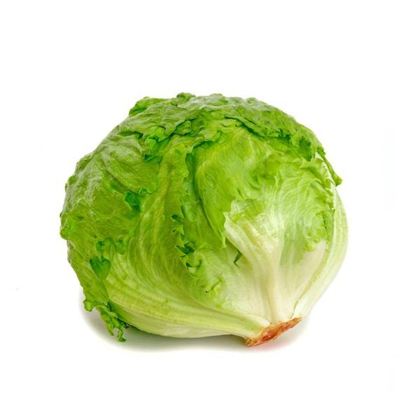 LECHUGA