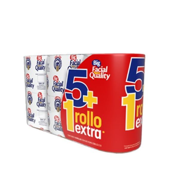 PAPEL HIGIENICO BIG FACIAL QUALITY 550 HOJAS 5 ROLLOS +1