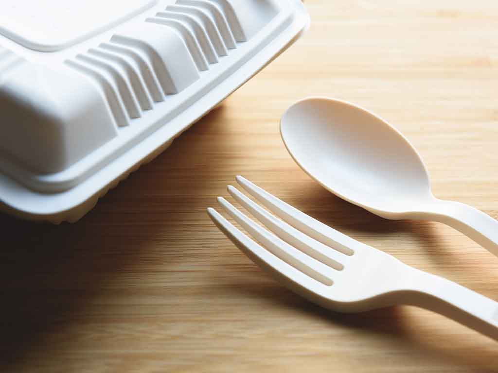 Dónde comprar desechables económicos por mayor